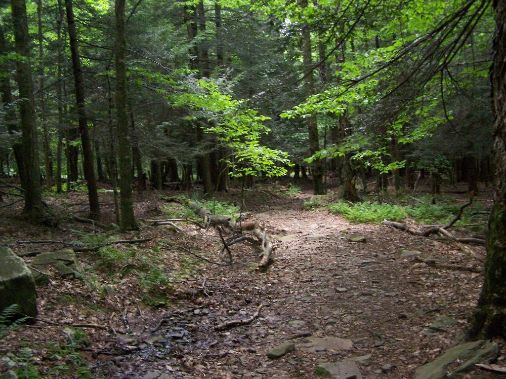 Photo: Getting A Little Steeper Photo: Getting A Little Steeper