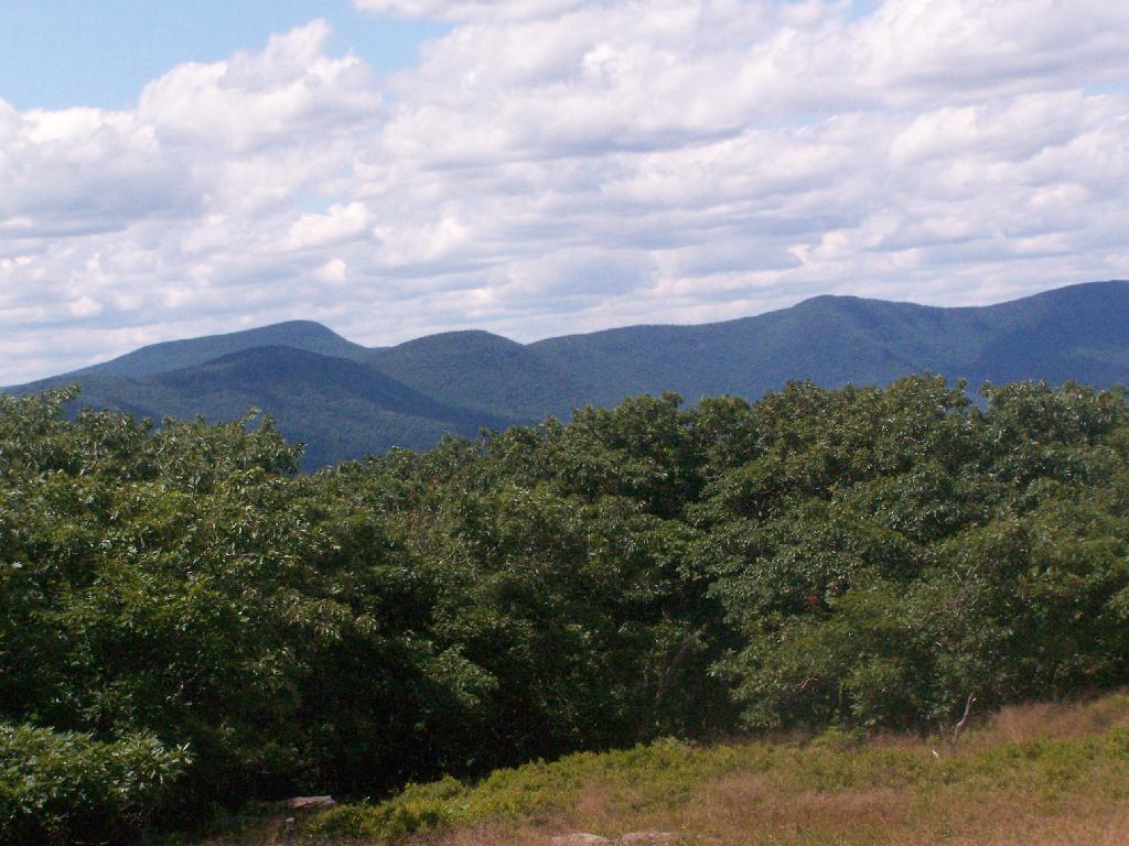 Photo: Catskill High Peaks Photo: Catskill High Peaks