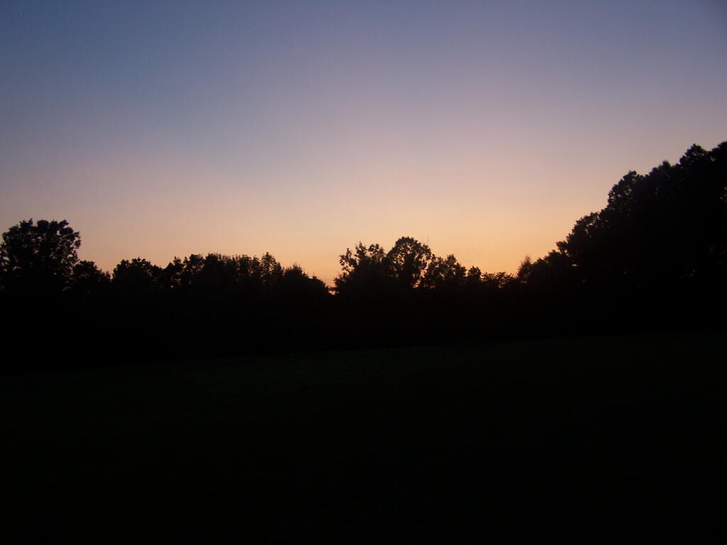 Photo: Glow