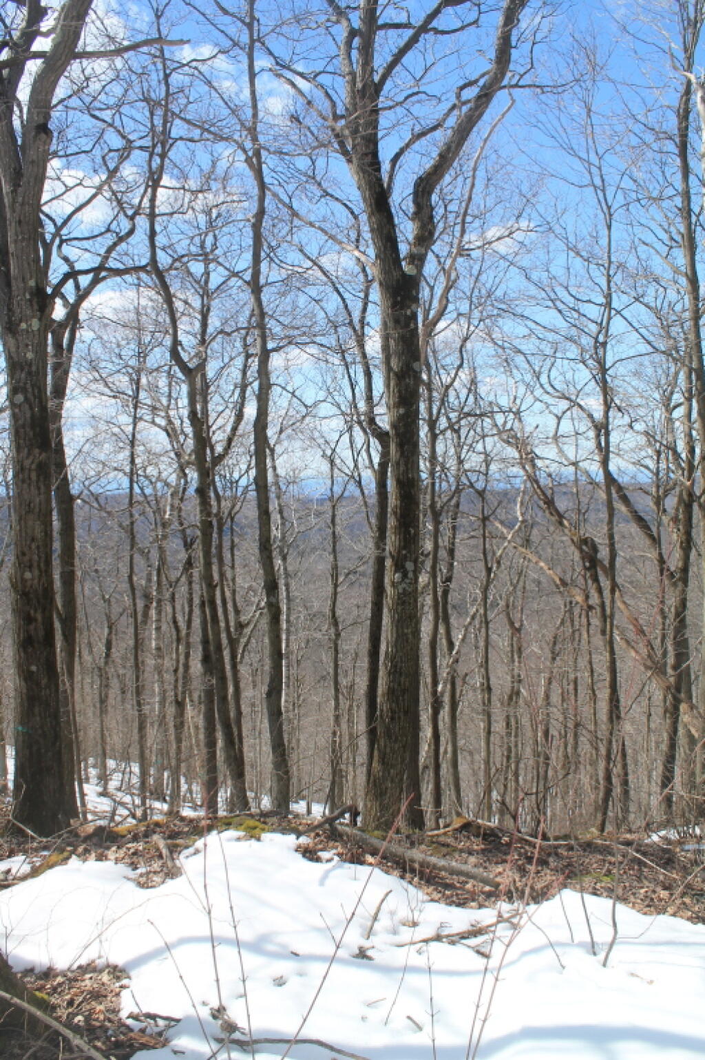 Photo: Broken Views of Catskills from Pinnacle Point
