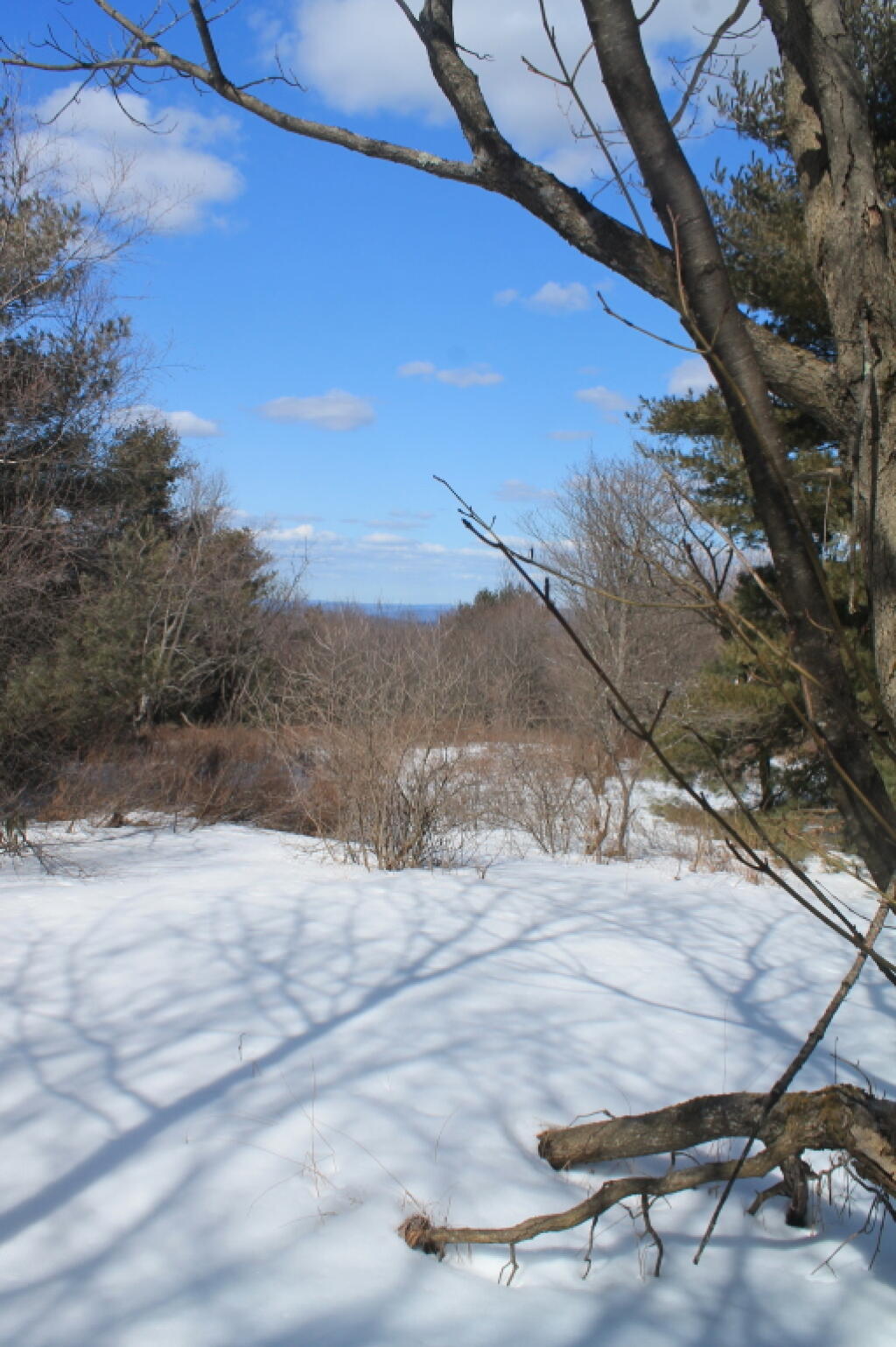 Photo: Clearing on Pinnacle Point