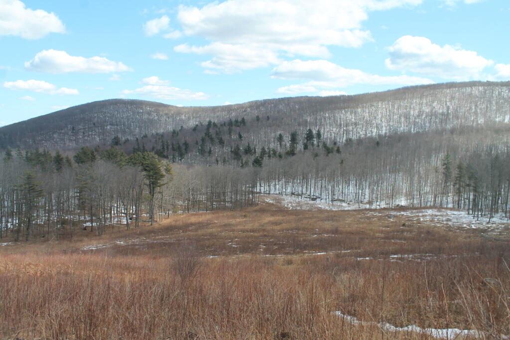 Photo: Another View of Harvey Mountain