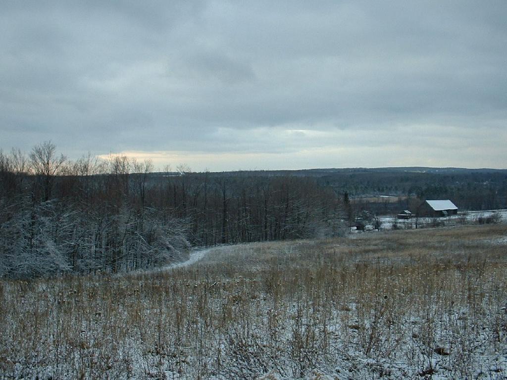 Photo: Farm
