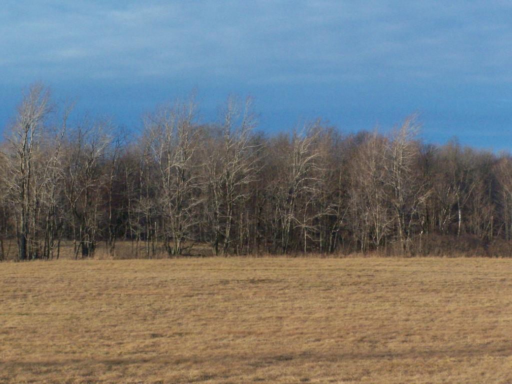 Photo: Field