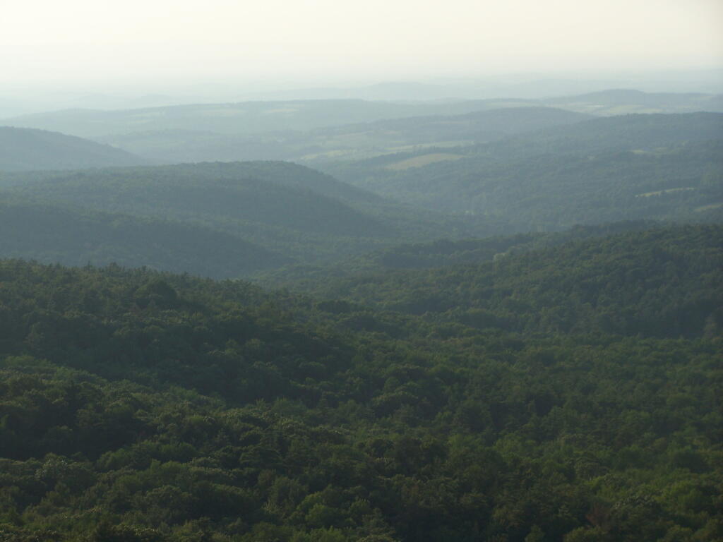 Photo: Evening Haze Photo: Evening Haze