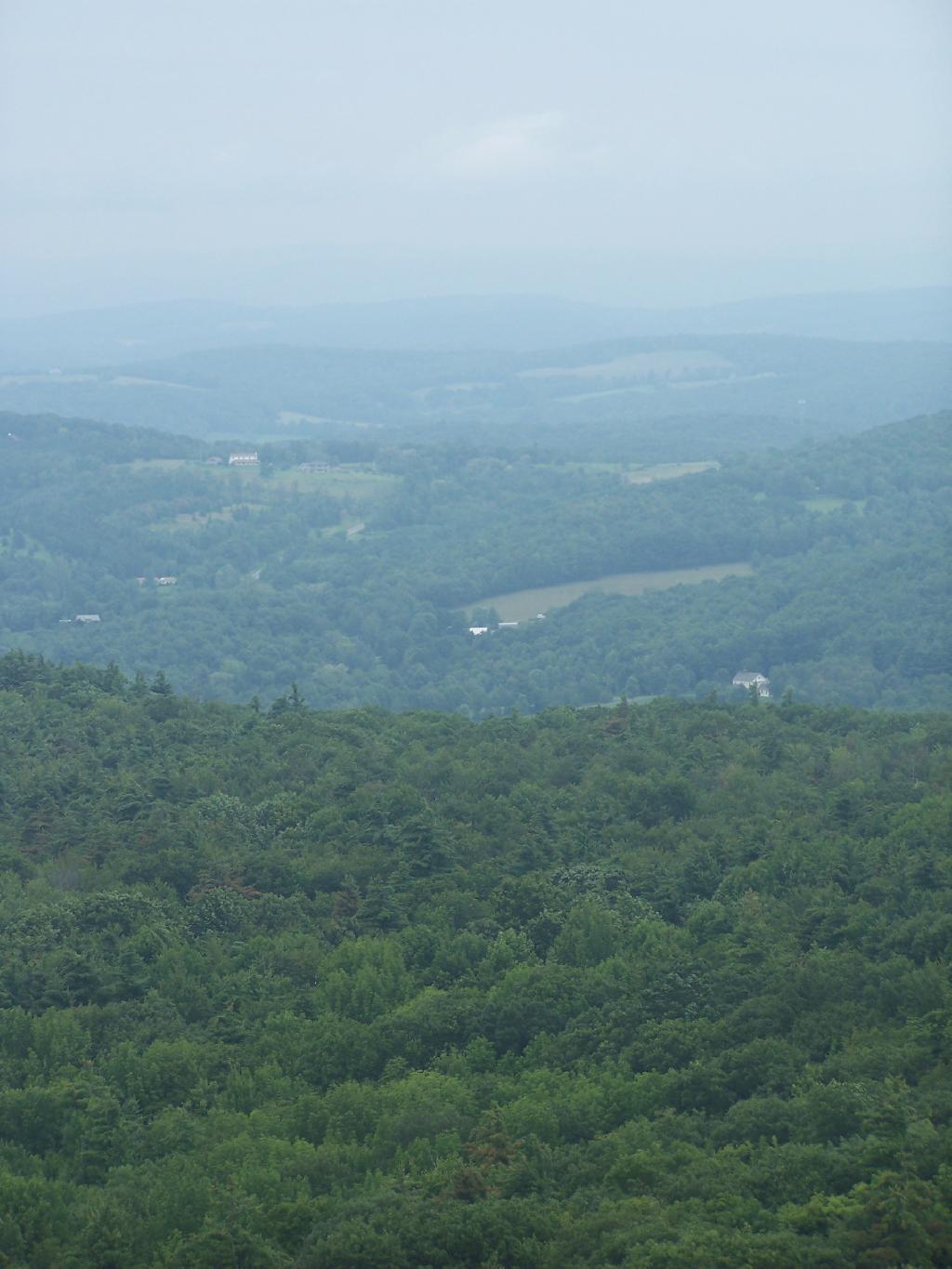 Photo: Haze Not Rain Photo: Haze Not Rain