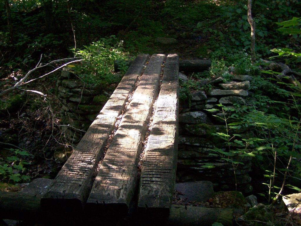 Photo: Foot Bridge