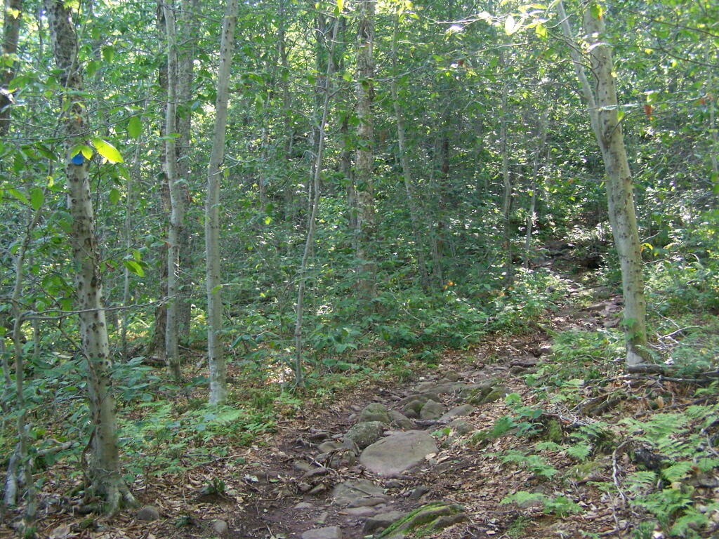 Photo: Curtis-Olmsbee Winds Uphill Slowly