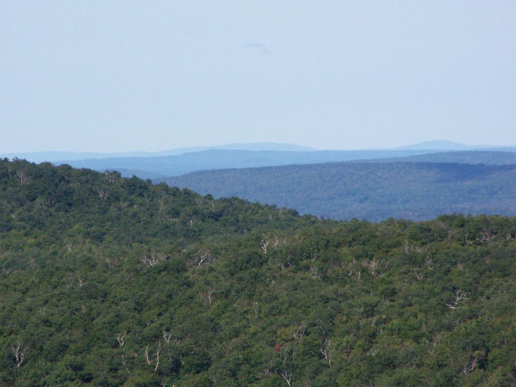 Photo: Views to the South