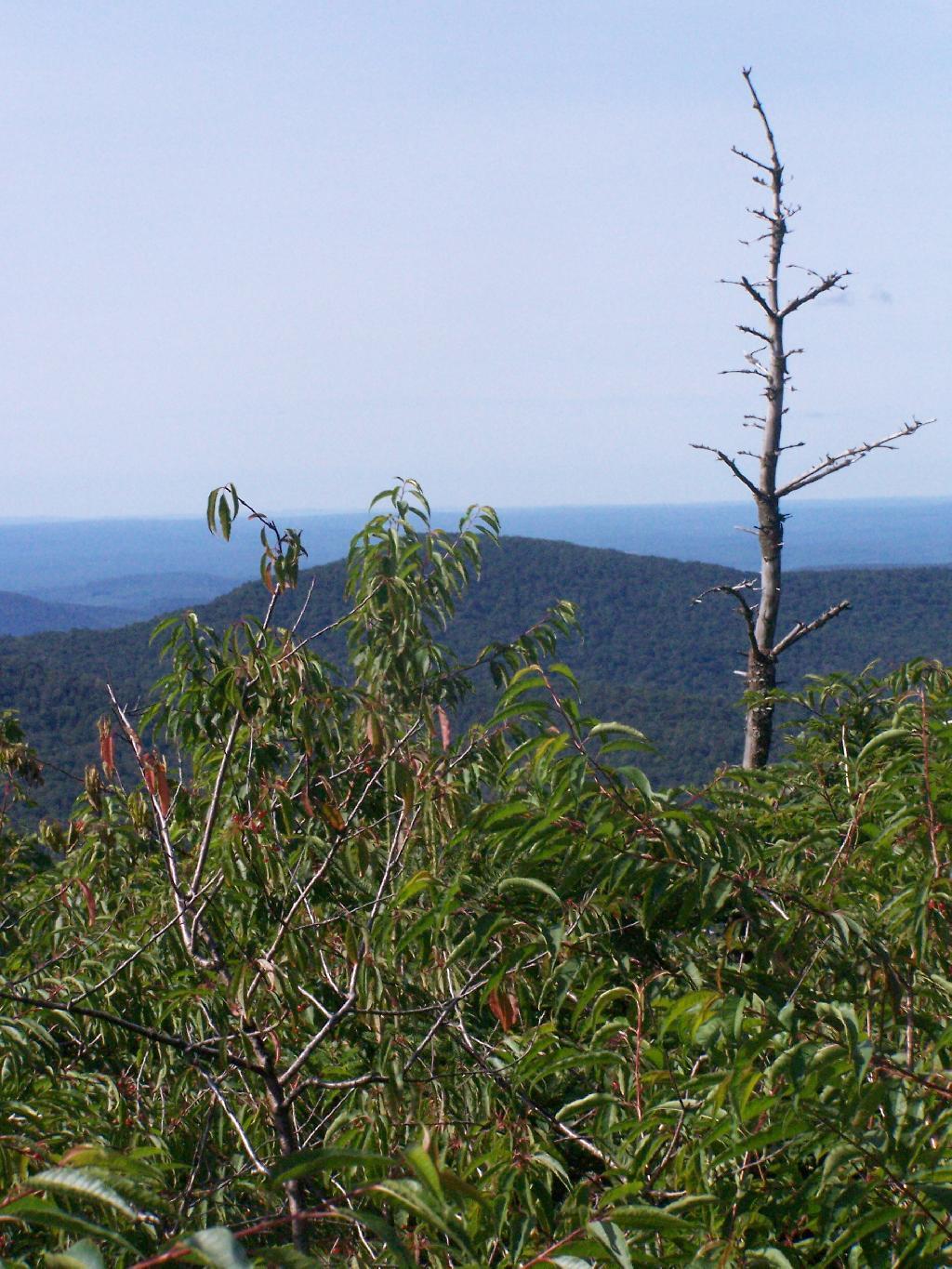 Photo: Asohakan High Peak