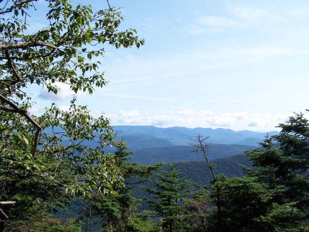Photo: Views North
