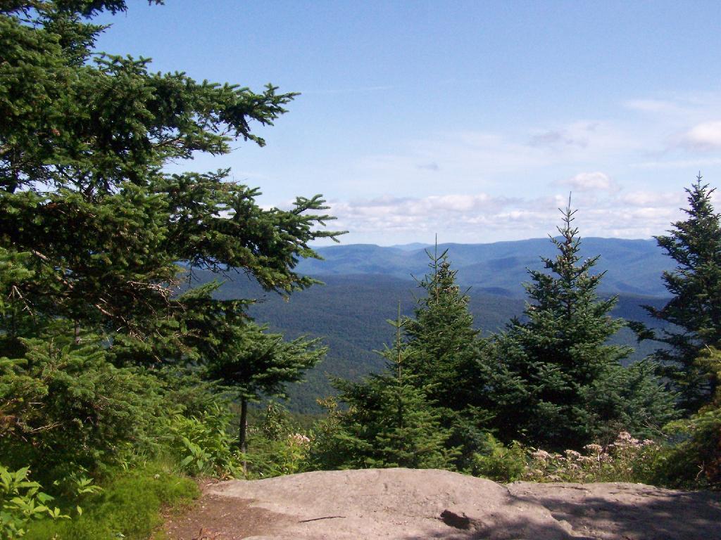 Photo: Rock Ledge