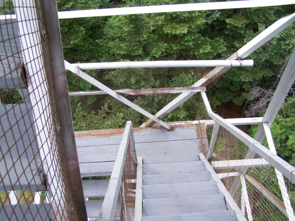 Photo: Looking Down