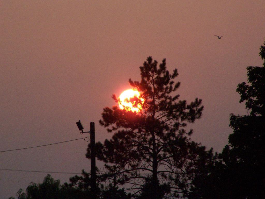 Photo: Setting Sun Photo: Setting Sun