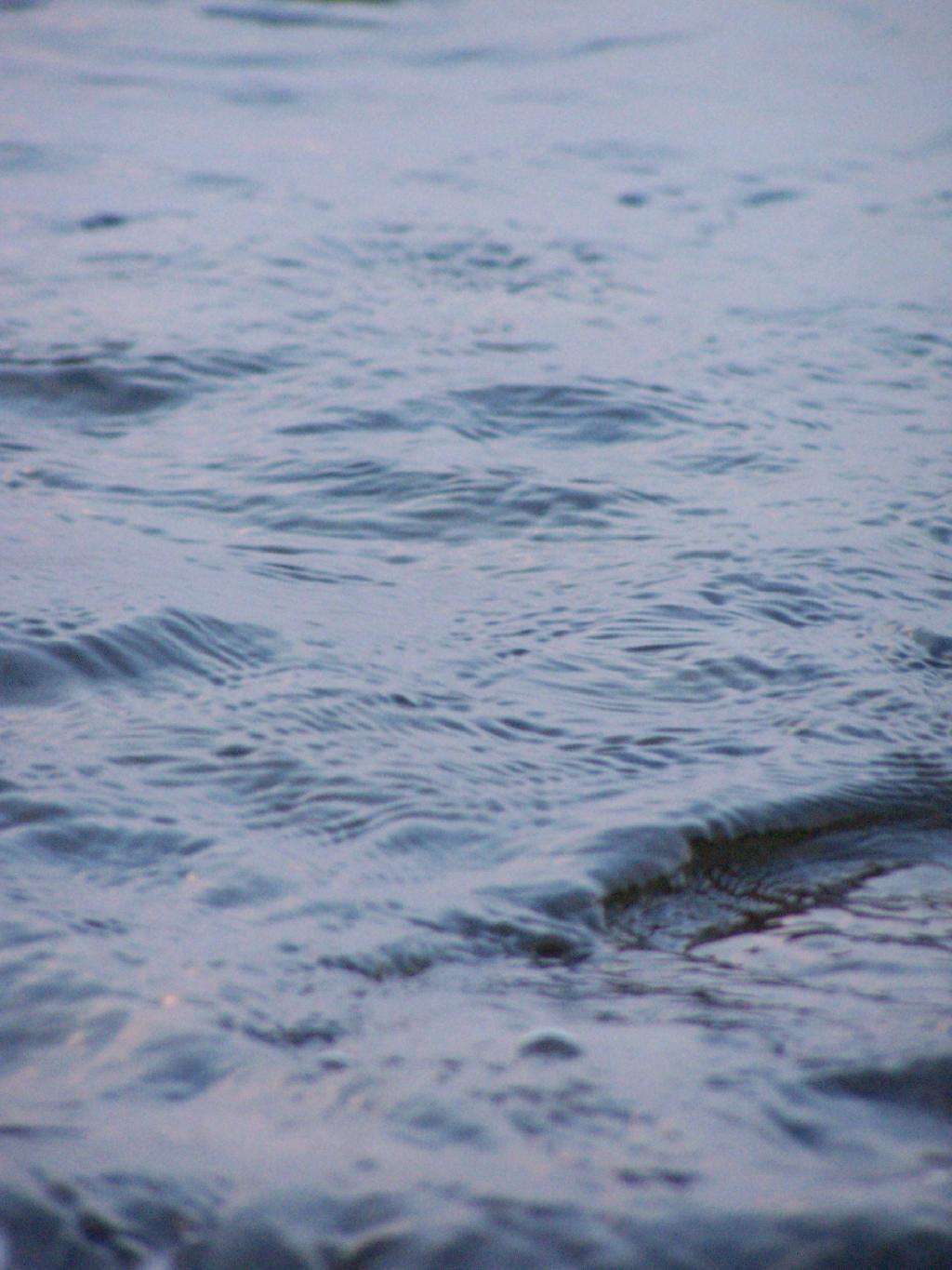 Photo: Wet Photo: Wet