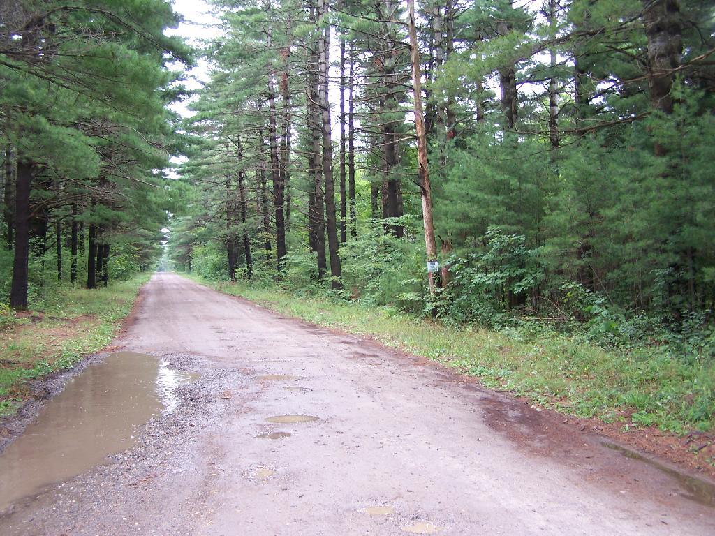 Photo: Road into Campsite Photo: Road into Campsite