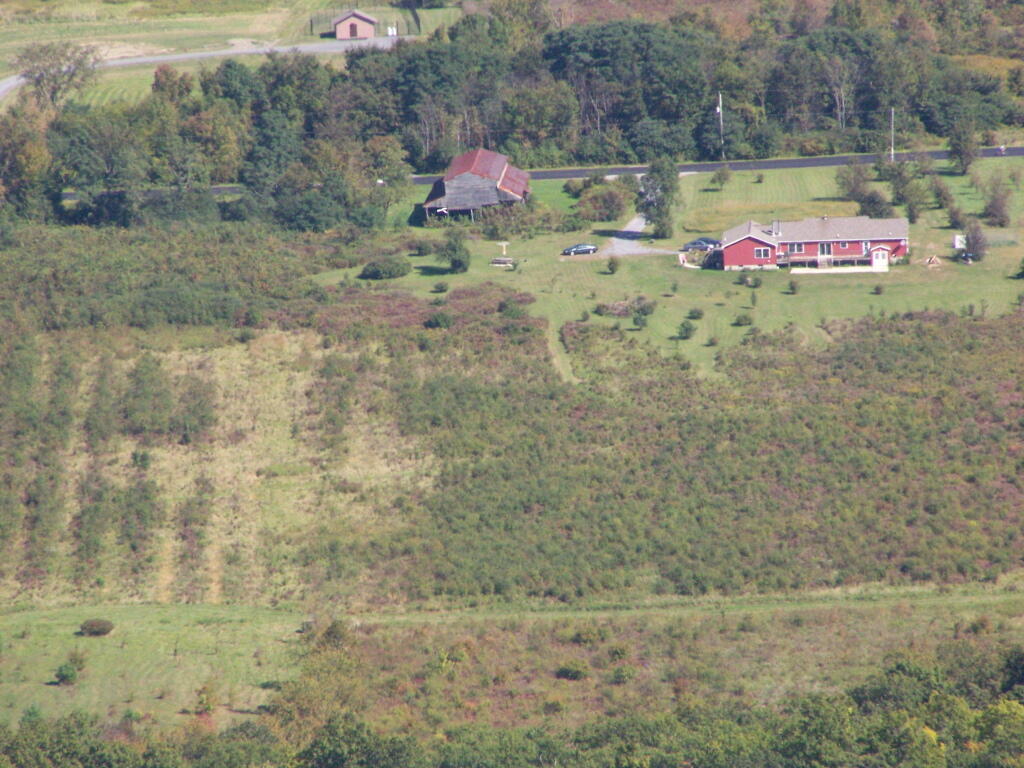 Photo: Marshes and Houses