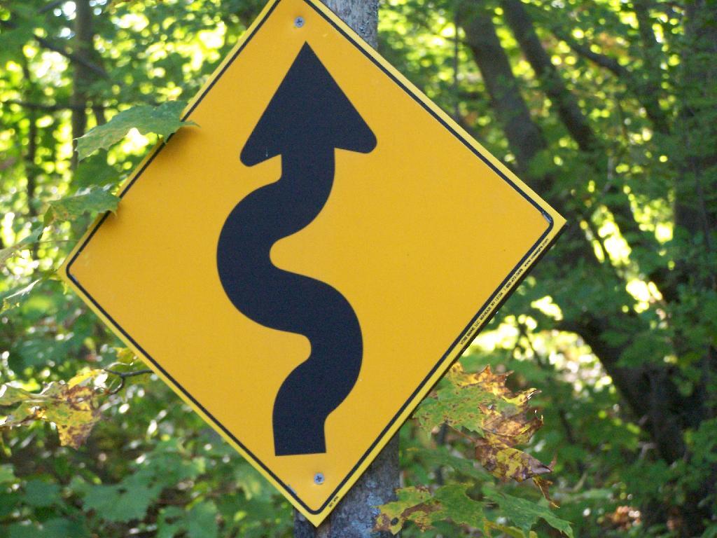 Photo: Twisty Trail