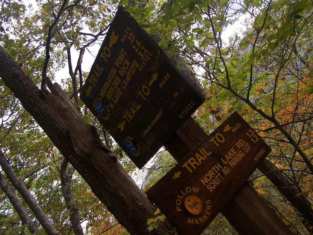 Photo: Signs