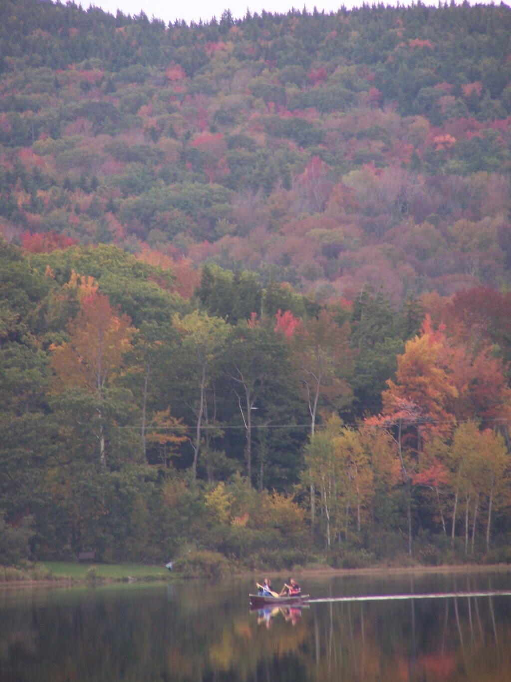 Photo: Paddle