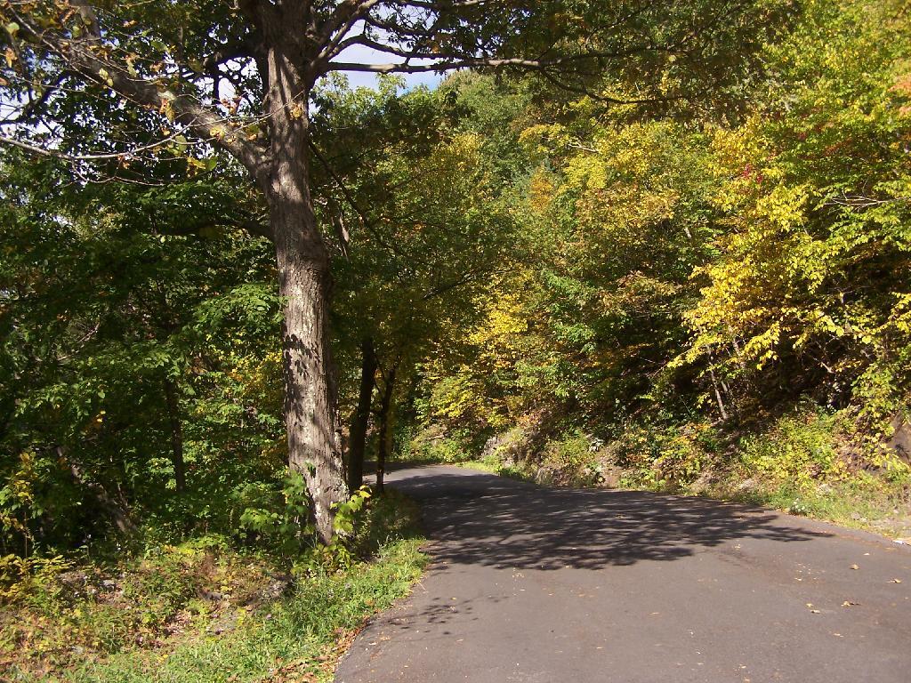 Photo: Katerskill Clove Road