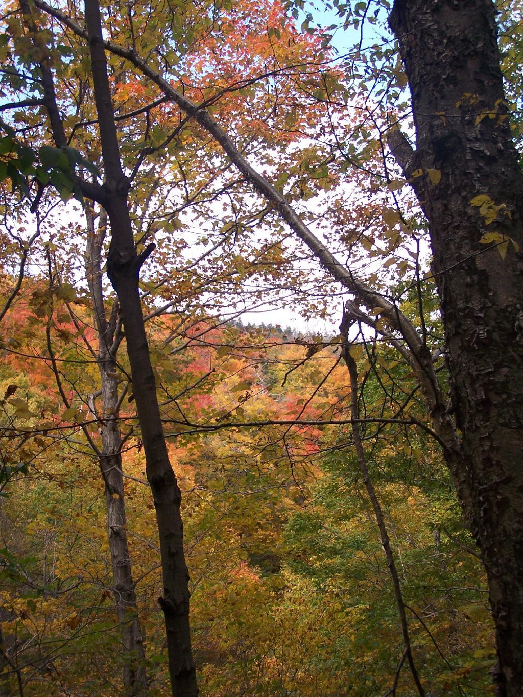 Photo: Twin Mountain