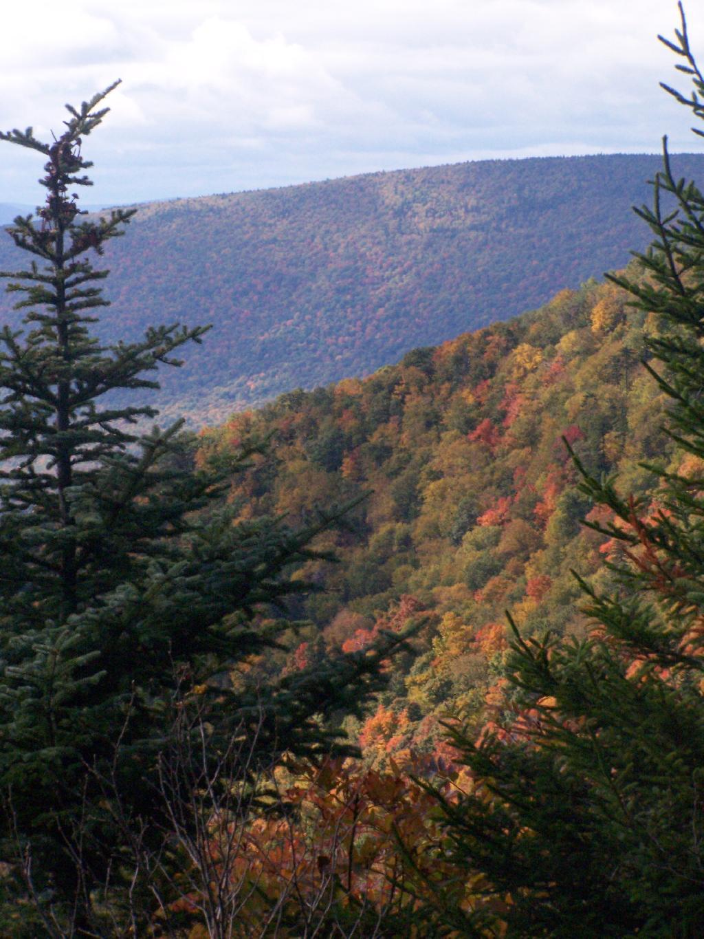Photo: Side of Indian Head