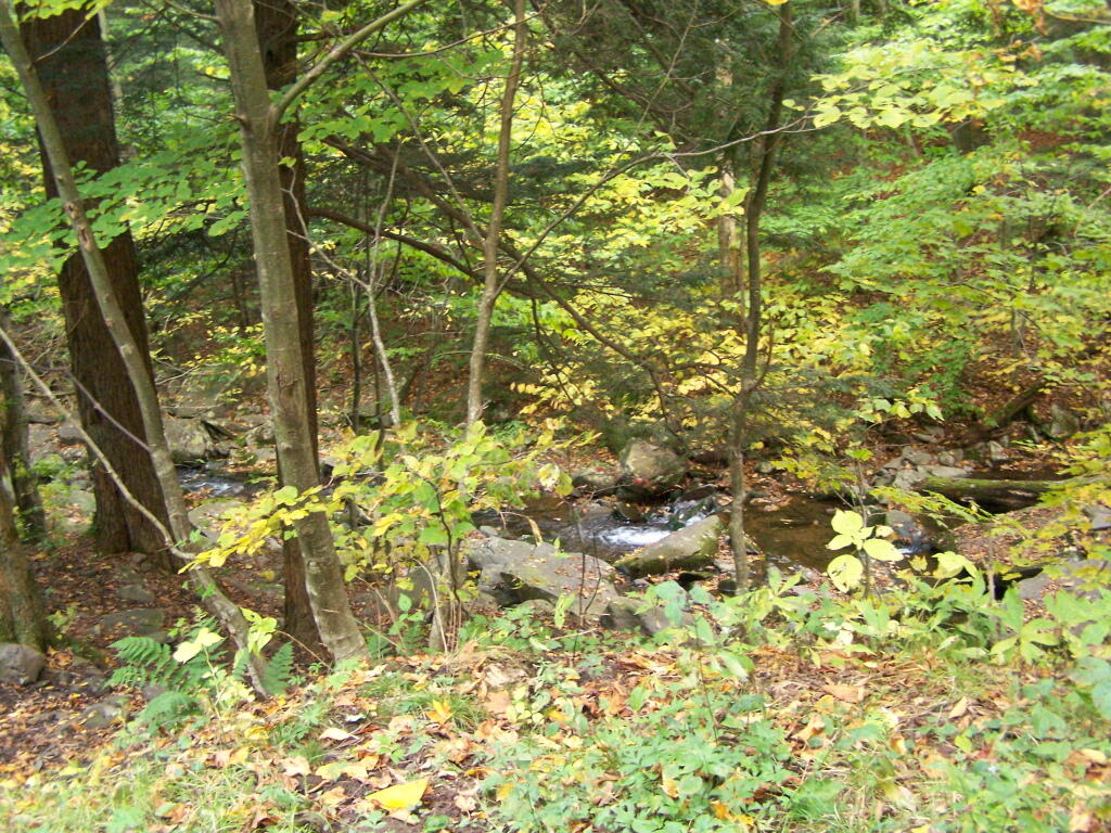 Photo: Creek at Devil's Clove Leanto