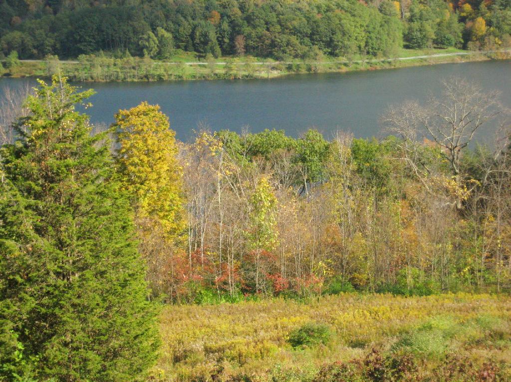 Photo: Power Reservior
