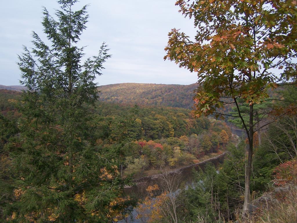 Photo: River Gorge