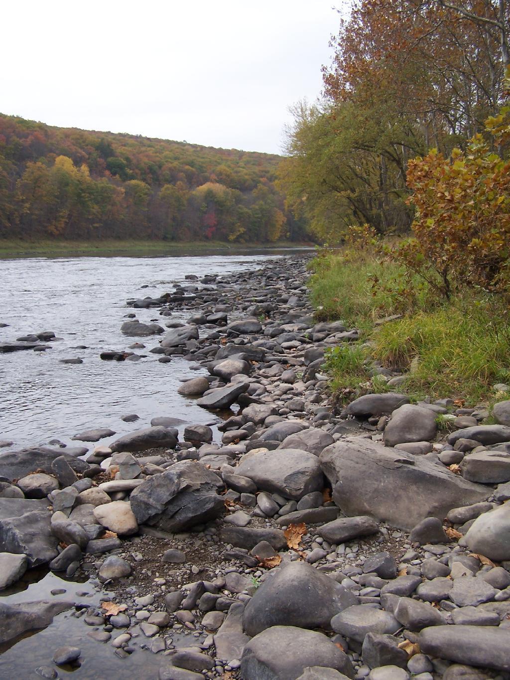 Photo: Along the River