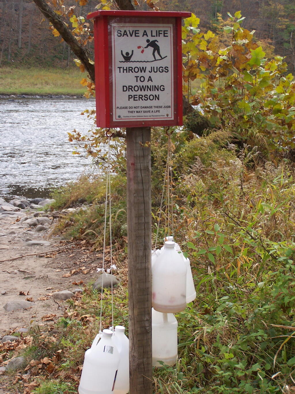 Photo: Throw These Jugs