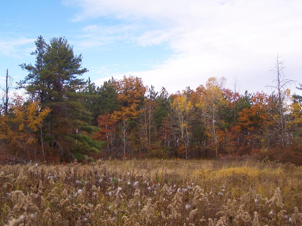 Photo: Field Near East Gravel Pit
