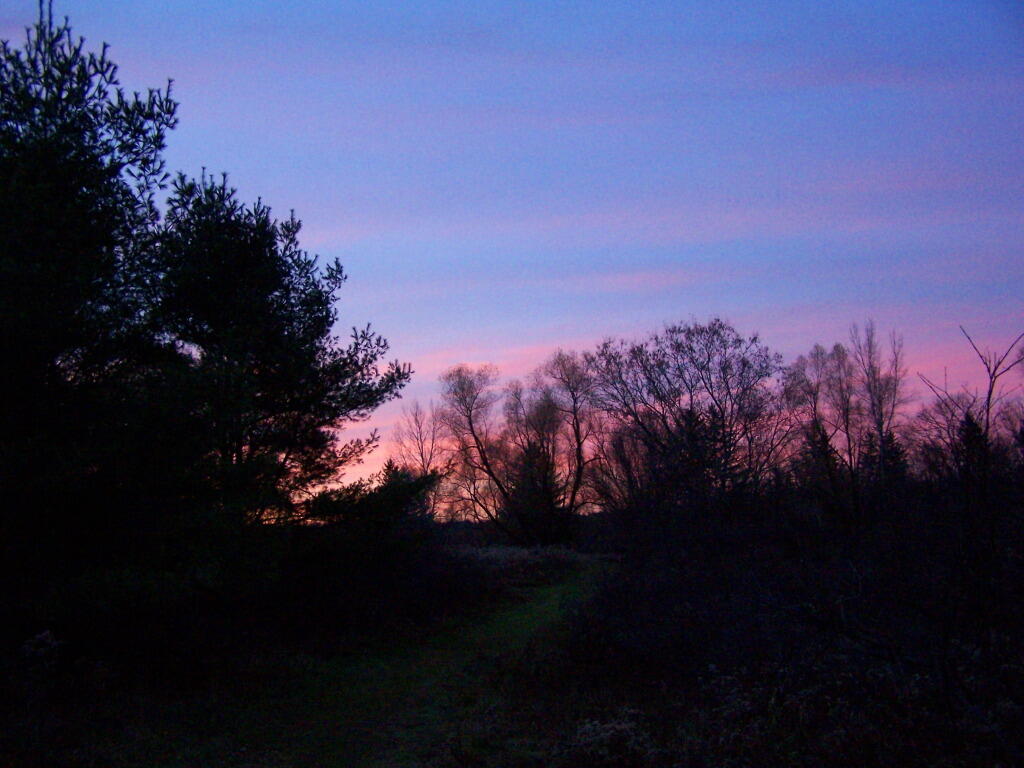 Photo: Getting Dark