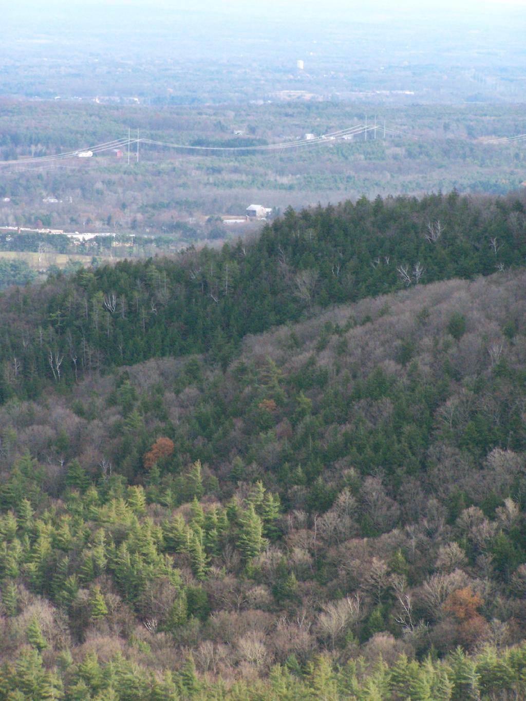 Photo: Hillside