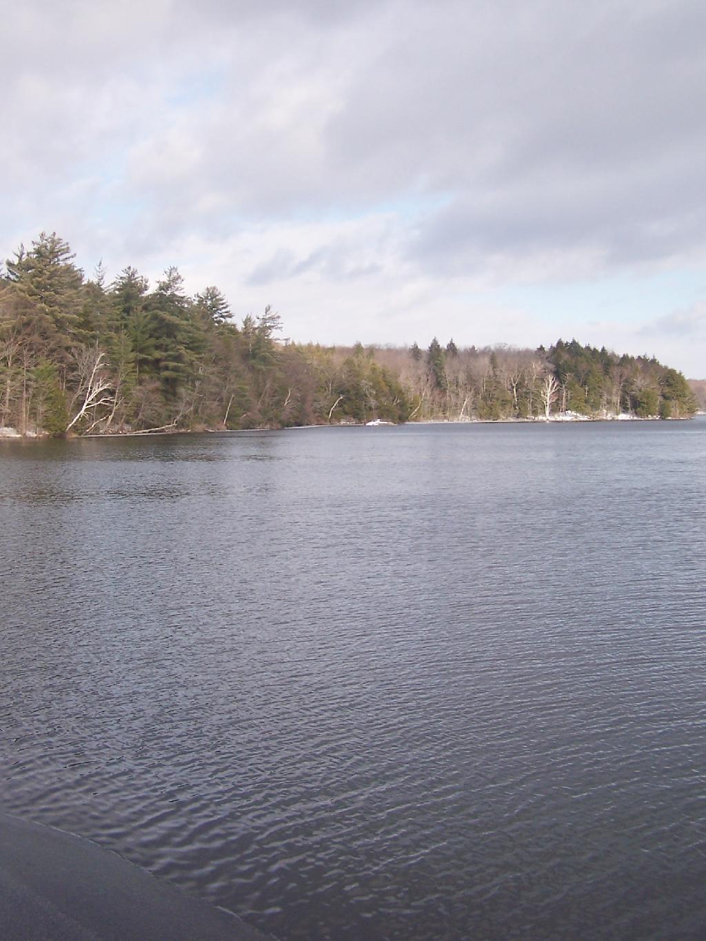 Photo: Shore of Long Lake