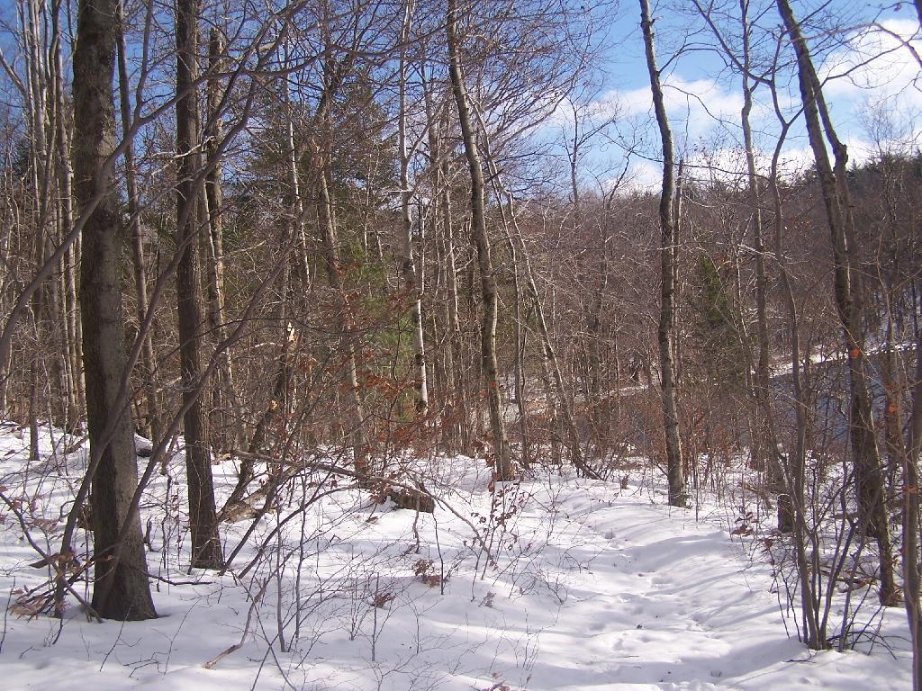 Photo: A Winter Walk
