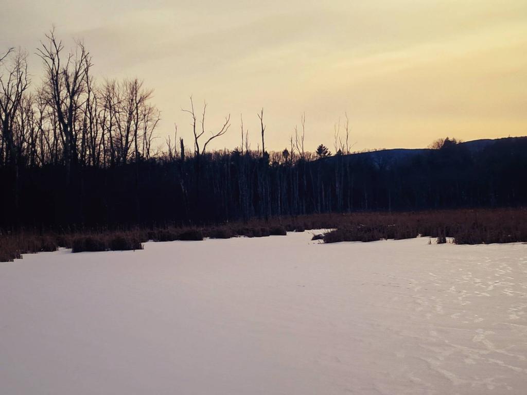Photo: Winter Afternoon on the Black Creek