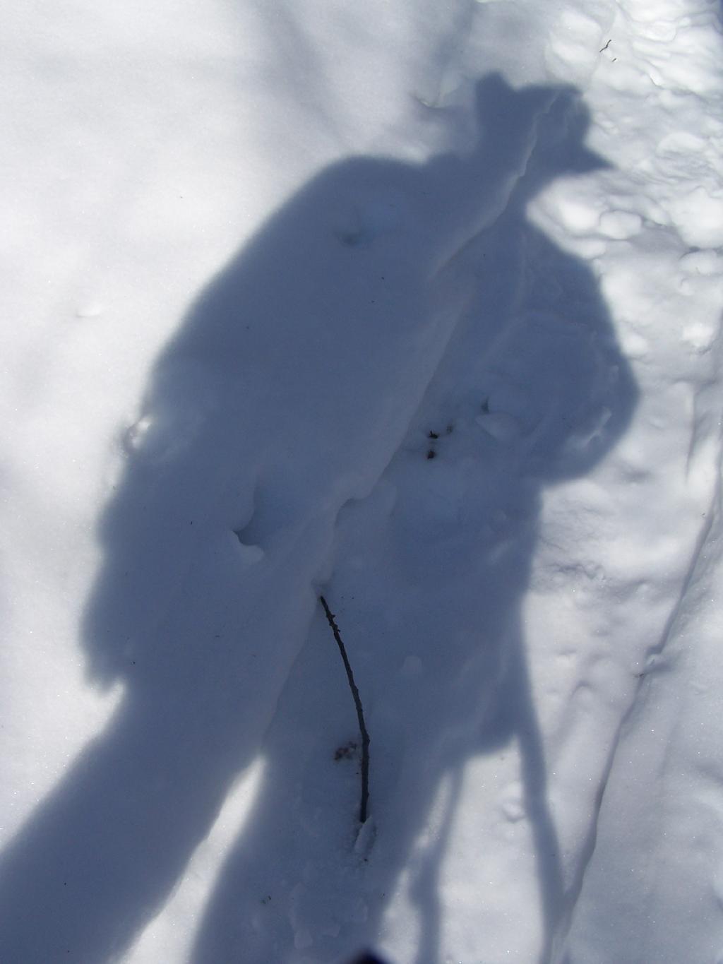 Photo: Shadow
