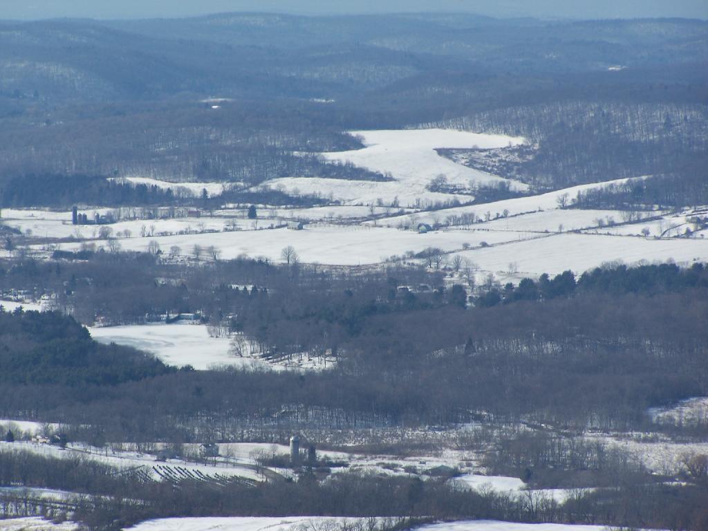 Photo: Frozen Farms Photo: Frozen Farms