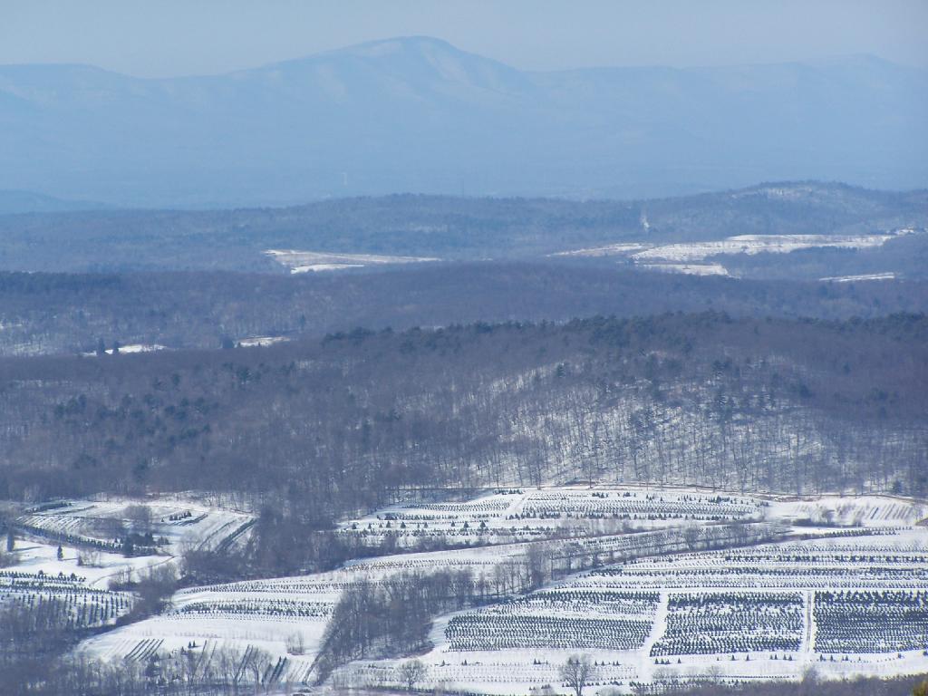 Photo: Winter
