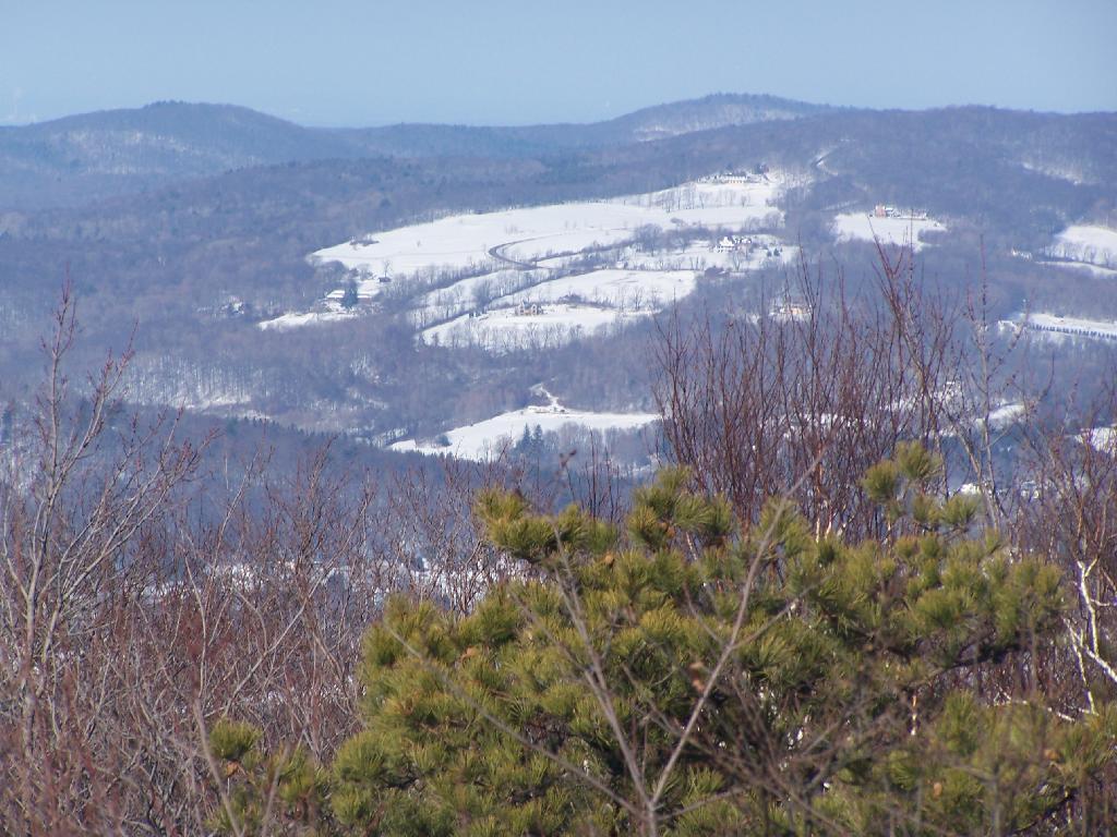 Photo: Hillside