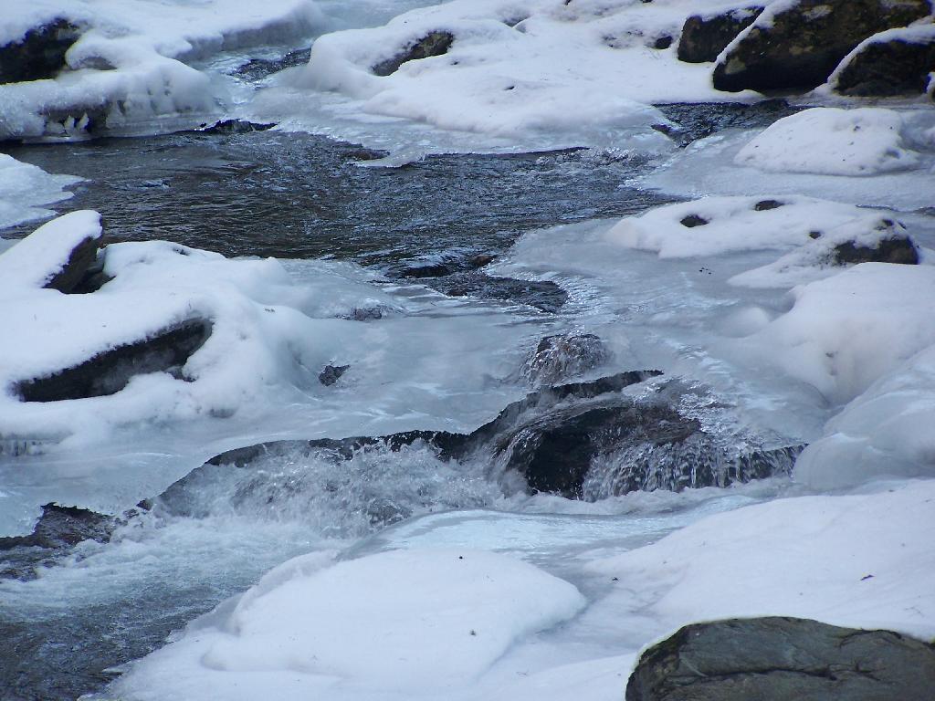 Photo: Cold and Wet Photo: Cold and Wet