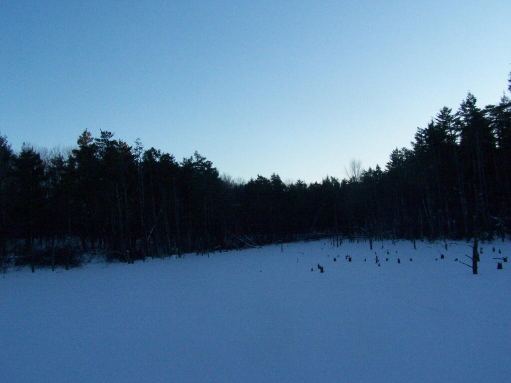 Photo: Unamed Pond
