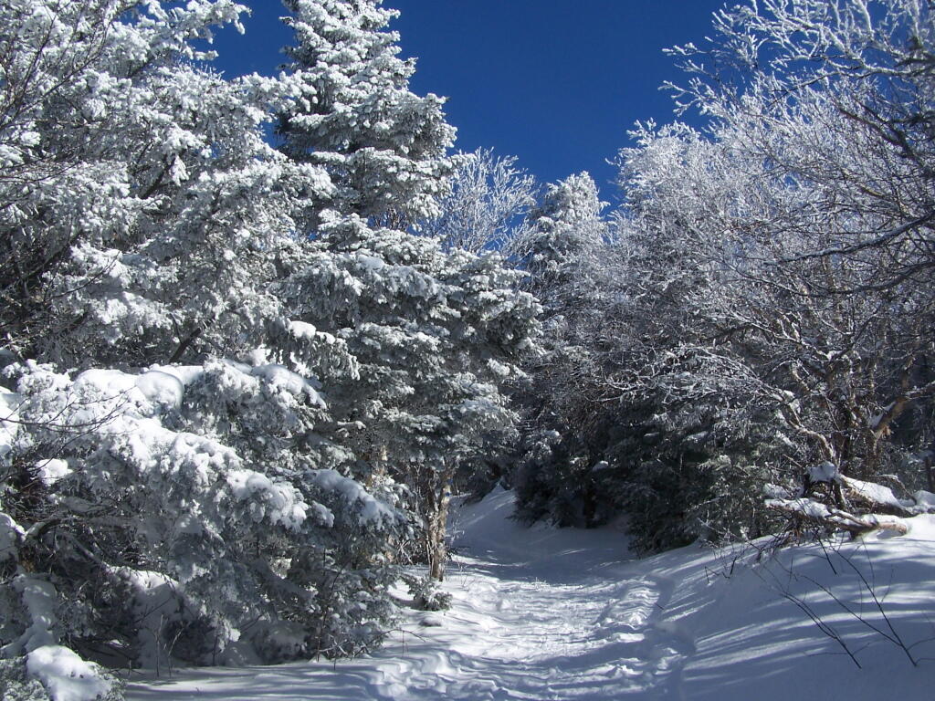 Photo: Descending the Trail