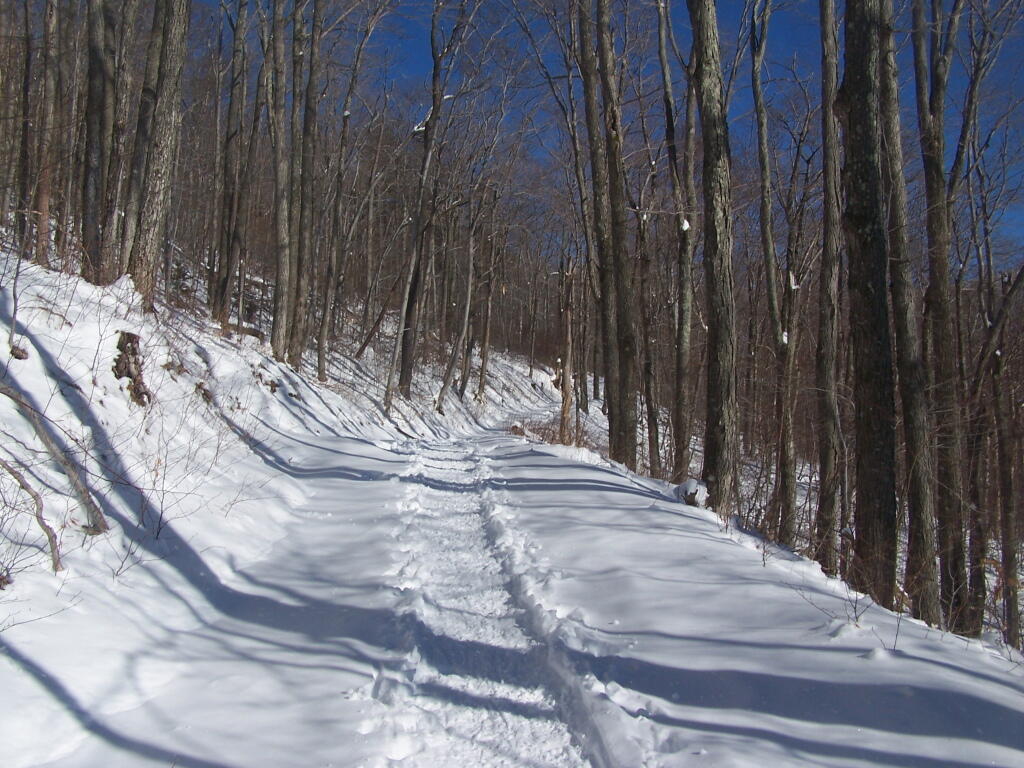 Photo: Up Old Hunter Road