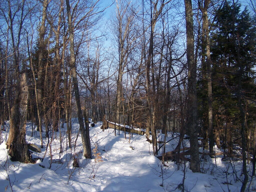Photo: Trail Across Mountaintop