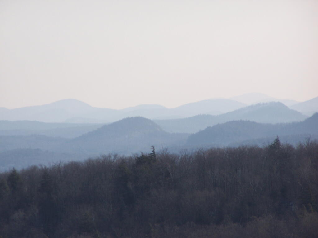 Photo: Untitled
