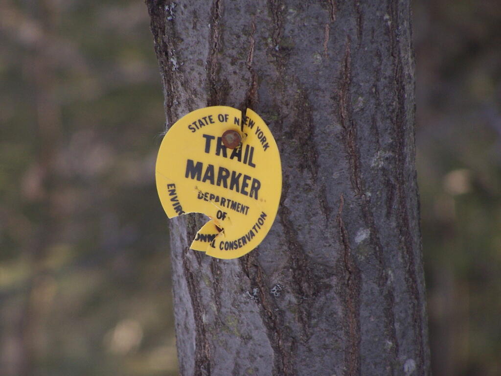 Photo: Yellow Trail