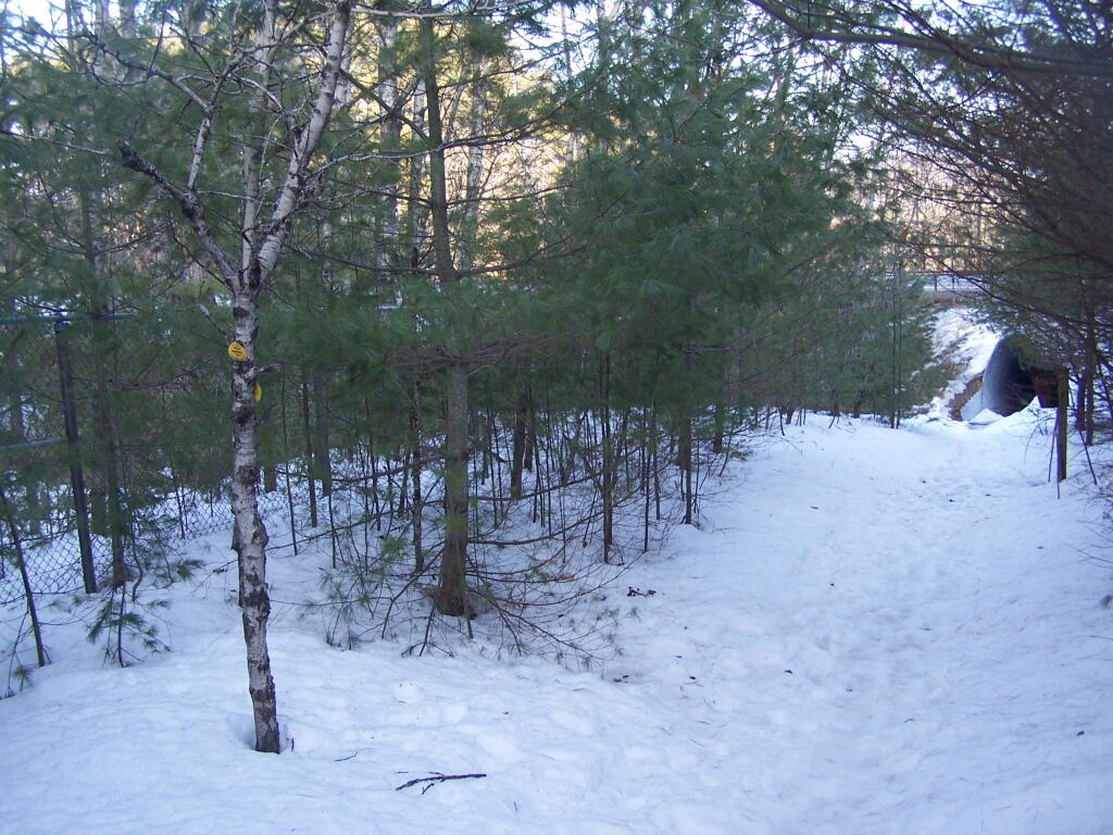 Photo: Between the Lanes of Northway